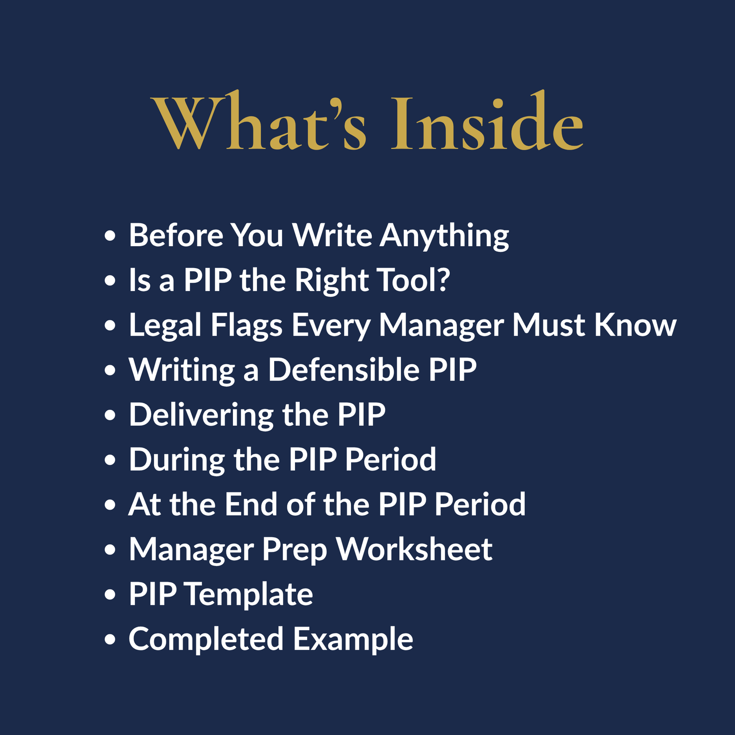 PIP Toolkit - Performance Improvement Plan